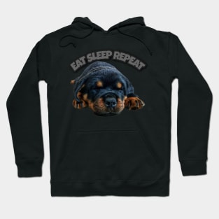 Rottweiler eat sleep repeat puppy Hoodie